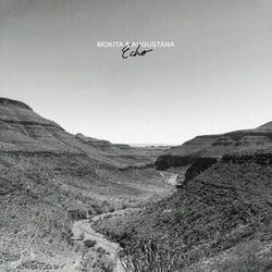Cover of Echo