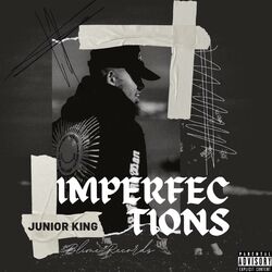 Cover of Imperfections