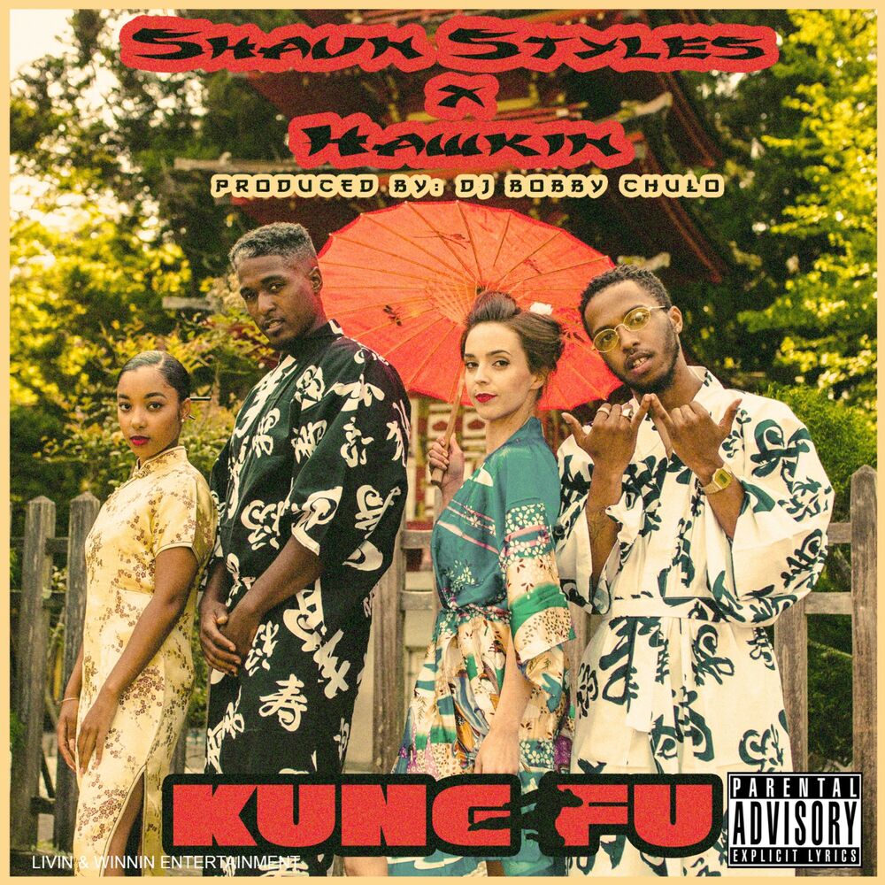 Picture of Kung Fu