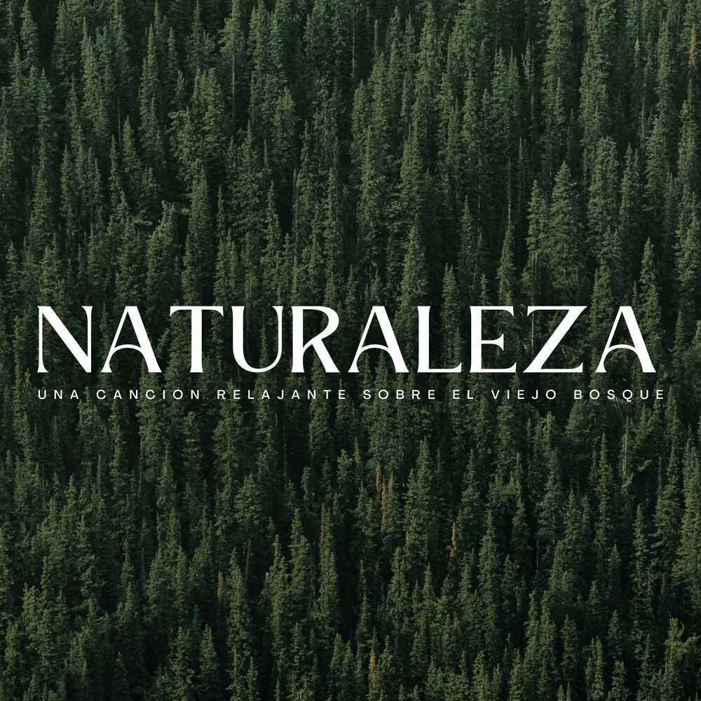 Picture of Naturaleza: Una Canción Relajante Sobre El Viejo Bosque