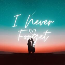 Cover of I Never Forget