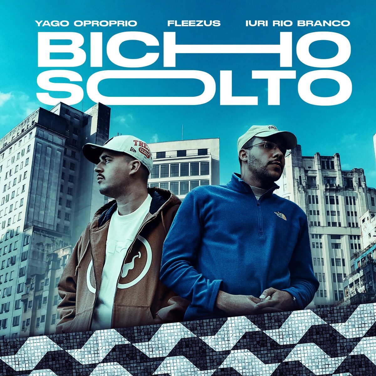 Album cover of Bicho Solto