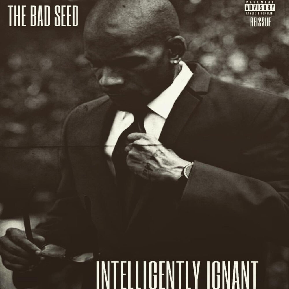Picture of Intelligently Ignant