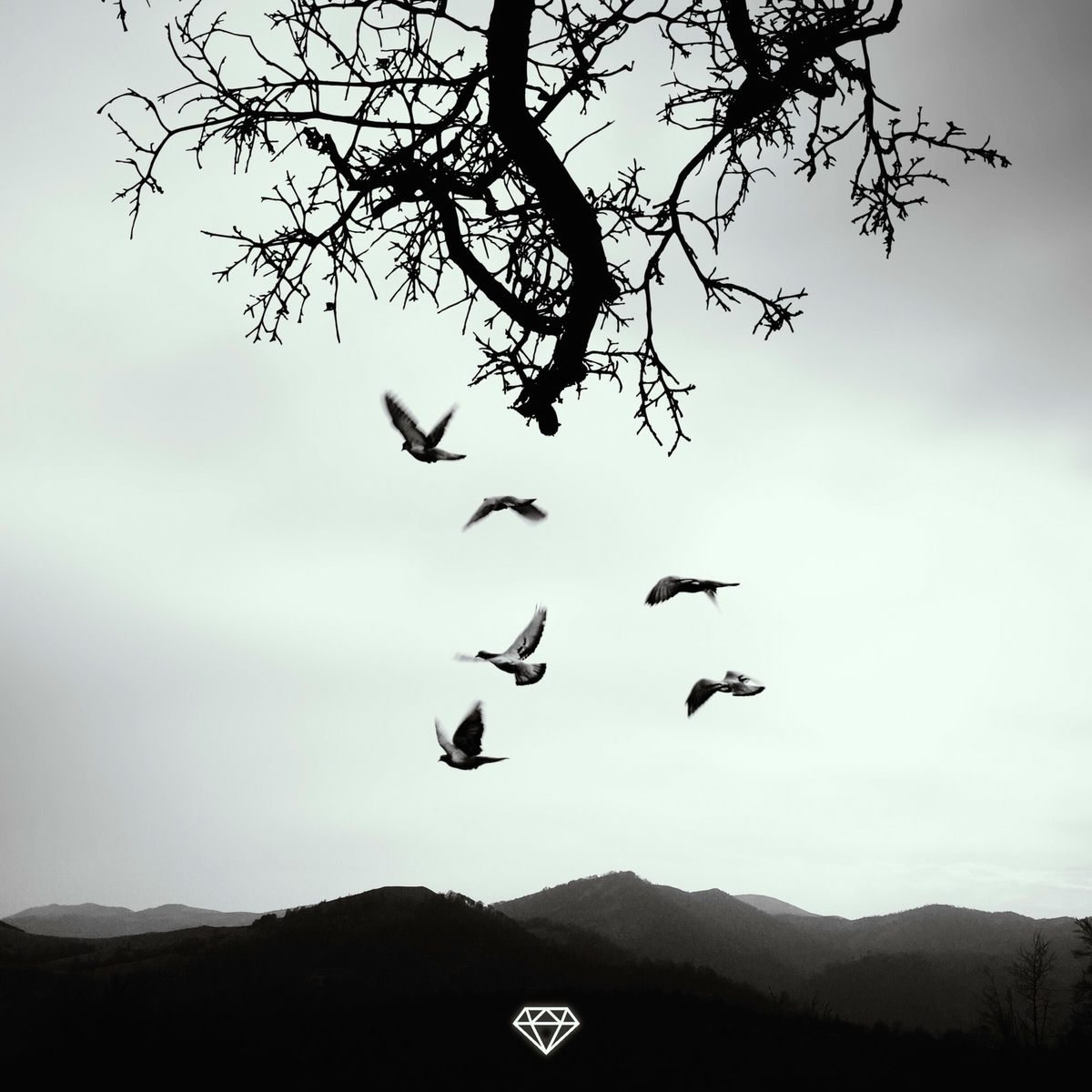 Album cover of The Reason