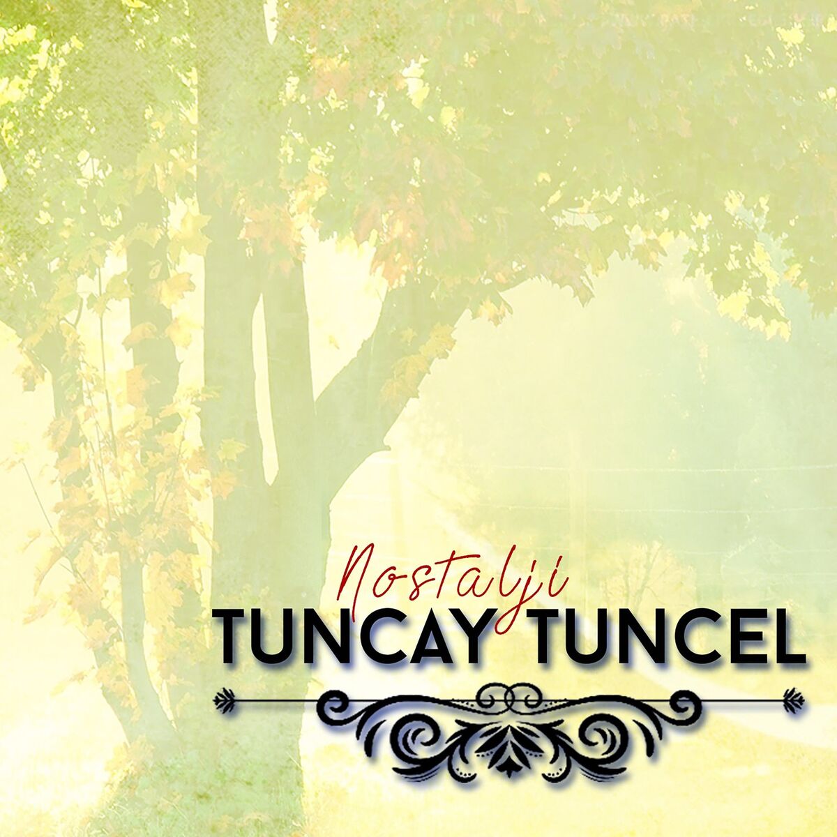 Album cover of Okul Yolunda