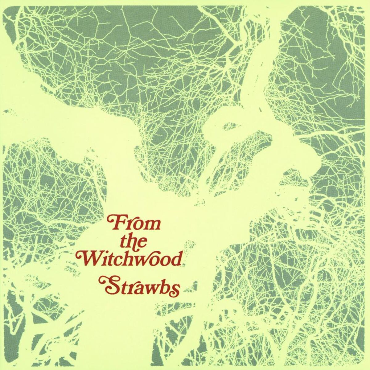 Album cover of From The Witchwood
