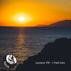 Cover of I Feel Like