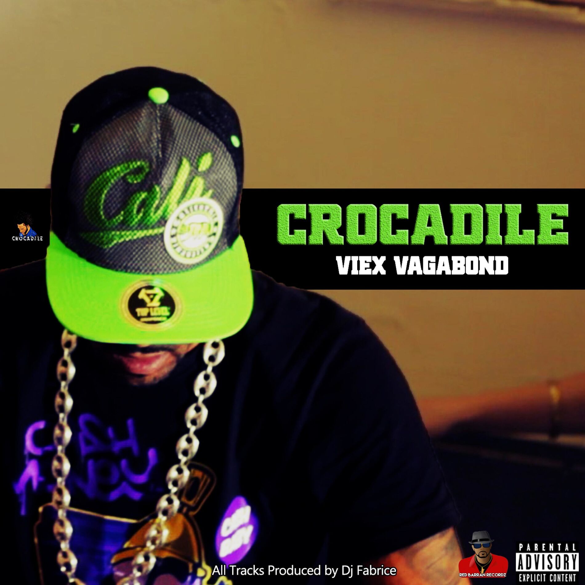 Album cover of Viex Vagabond
