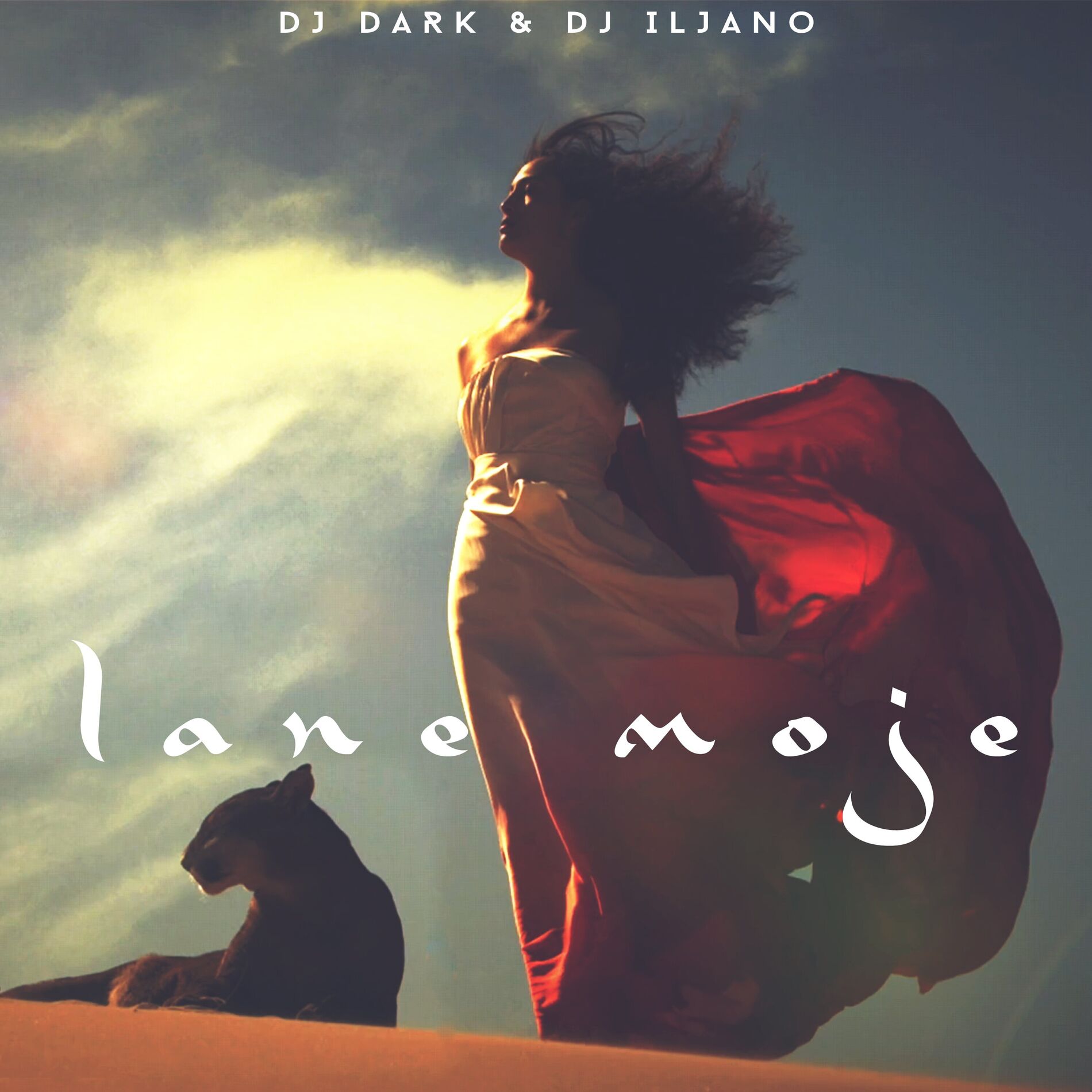 Album picture of Lane Moje
