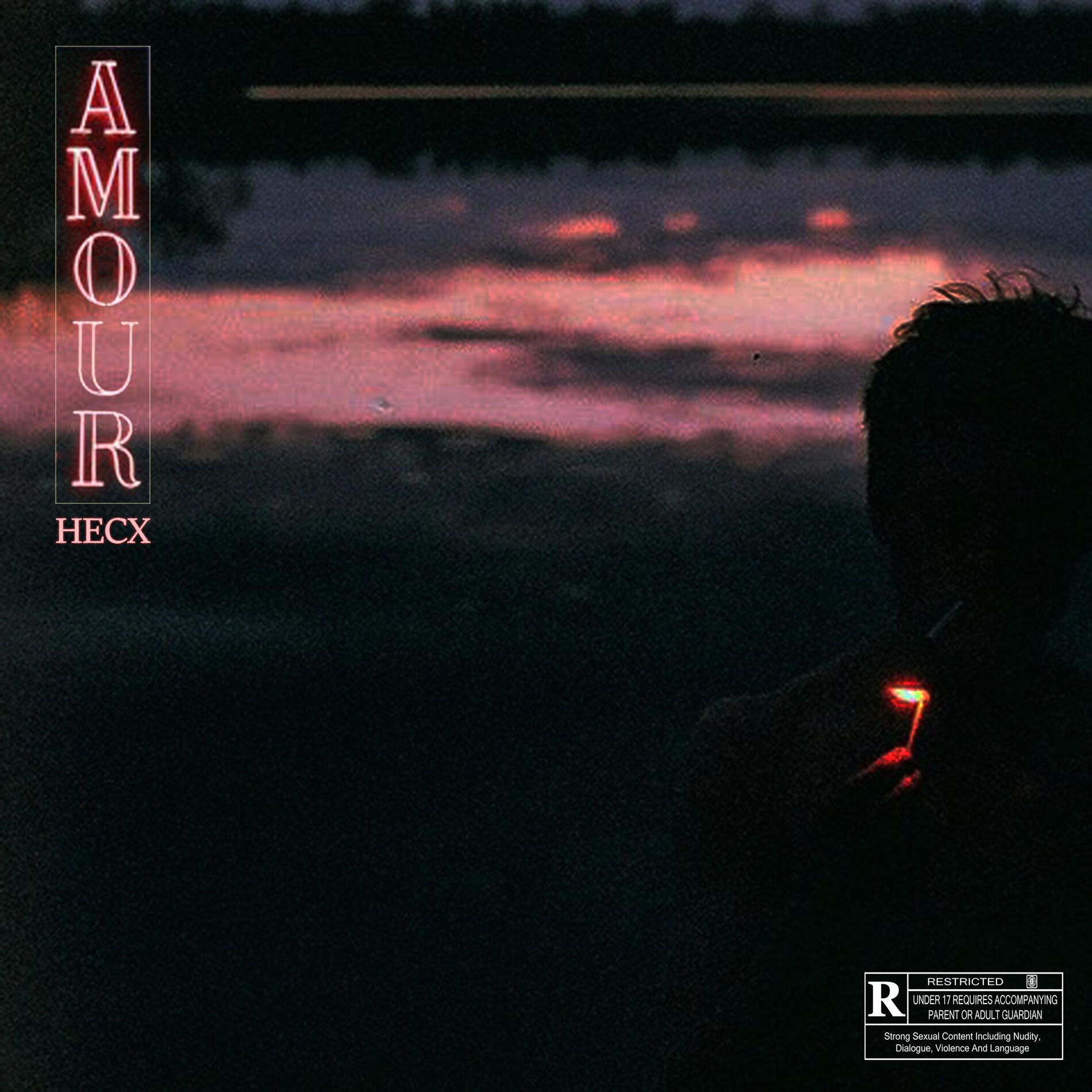 Album cover of Amour