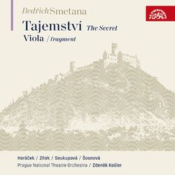 Cover of The Secret and Viola (fragment)