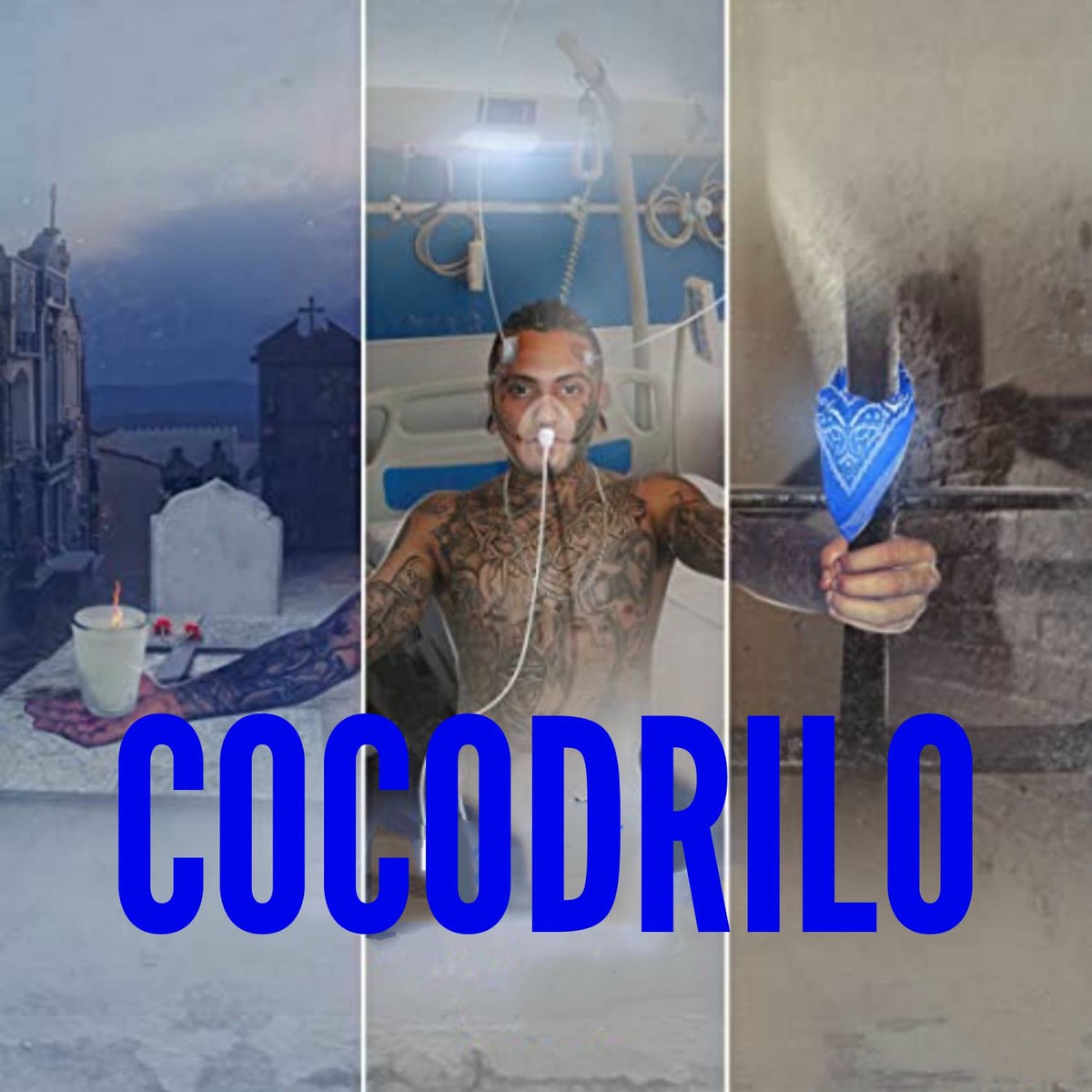 Album cover of Cocodrilo