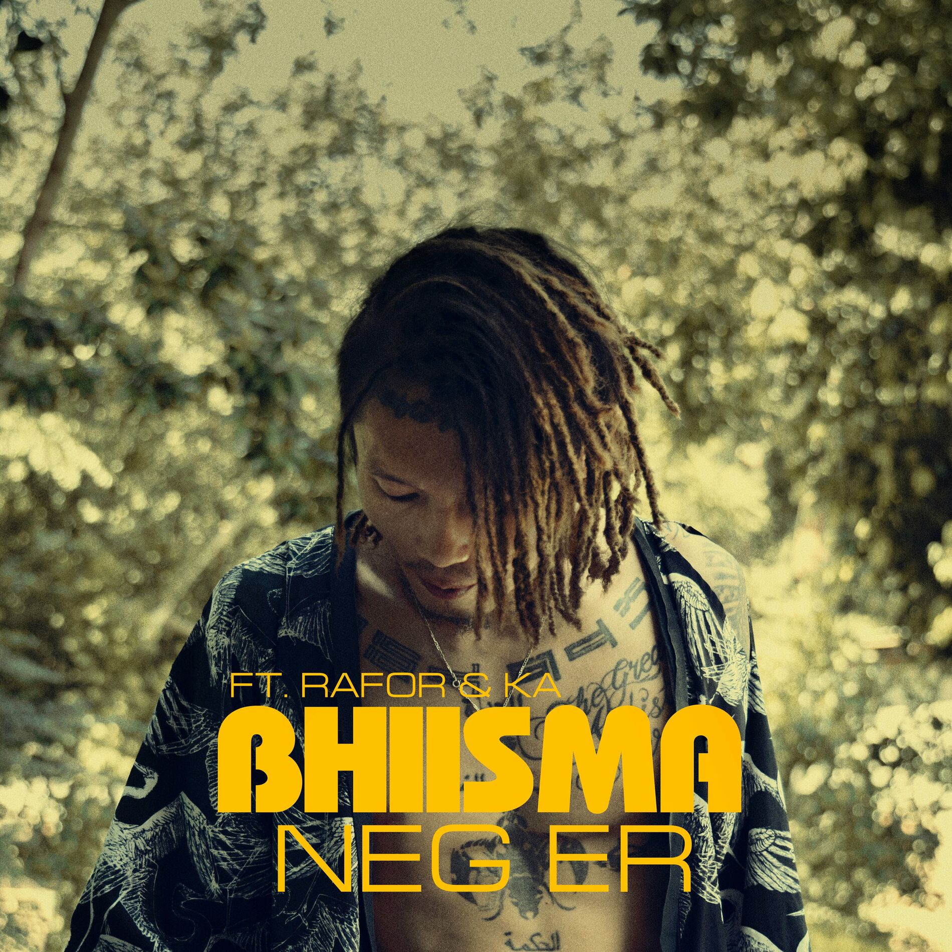 Album cover of Neg Er