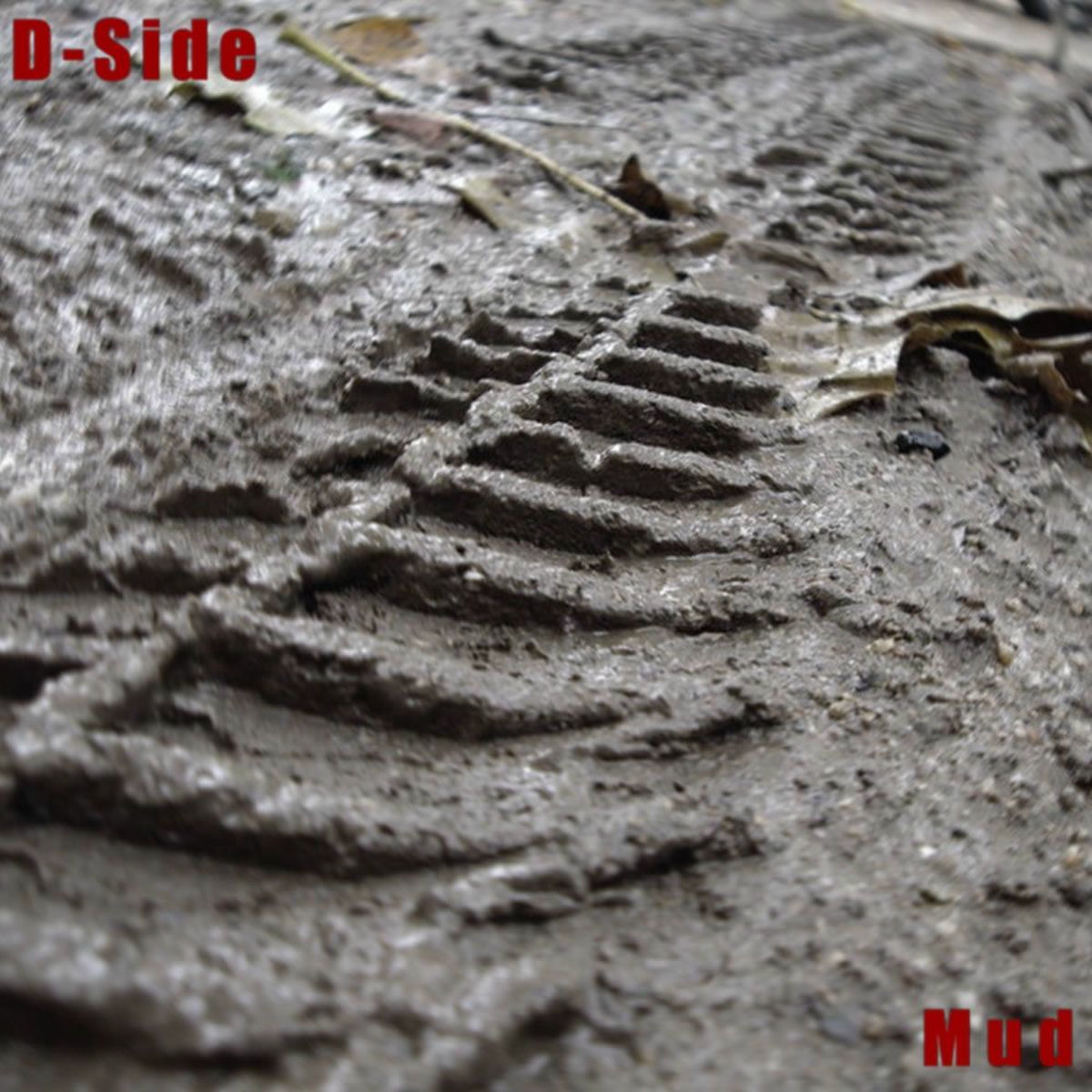 Album cover of Mud