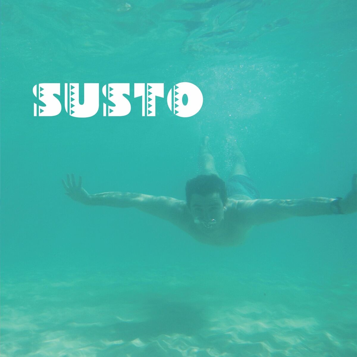 Album cover of Susto