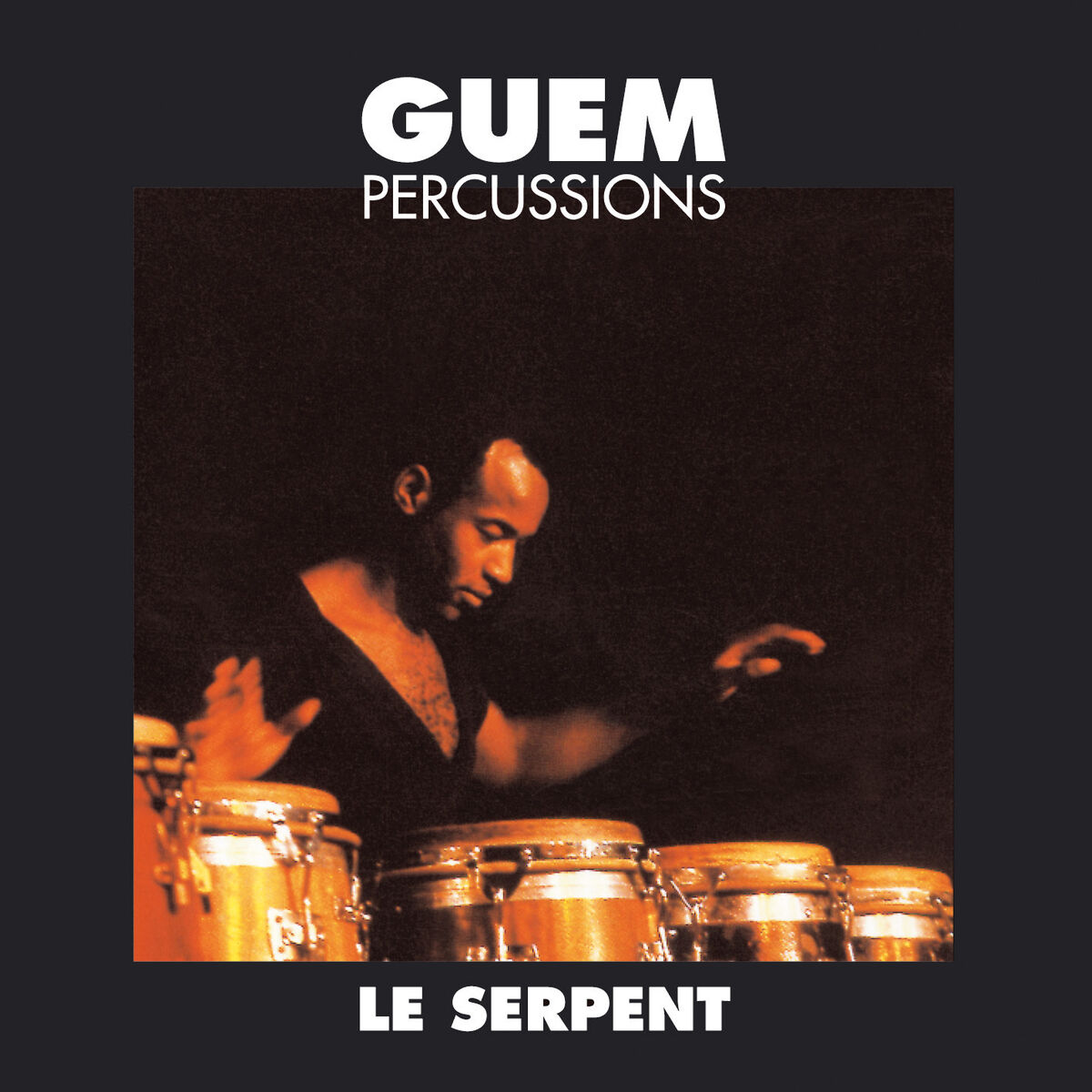 Album cover of Le Serpent