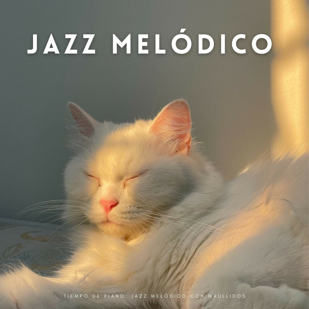 Picture of Tiempo De Piano: Jazz Melódico Con Maullidos