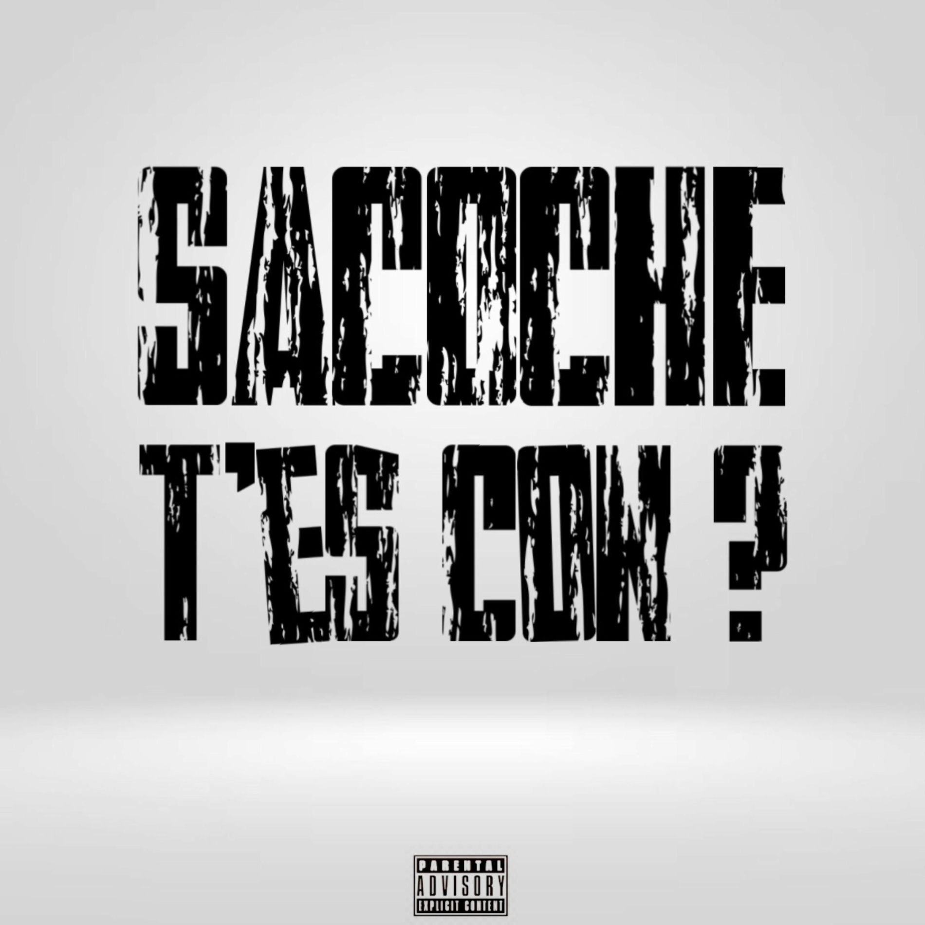 Album cover of SACOCHE, T'ES CON? (feat. Jaymee)