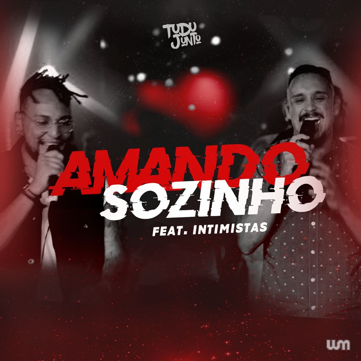 Album cover of Amando Sozinho (Ao Vivo)