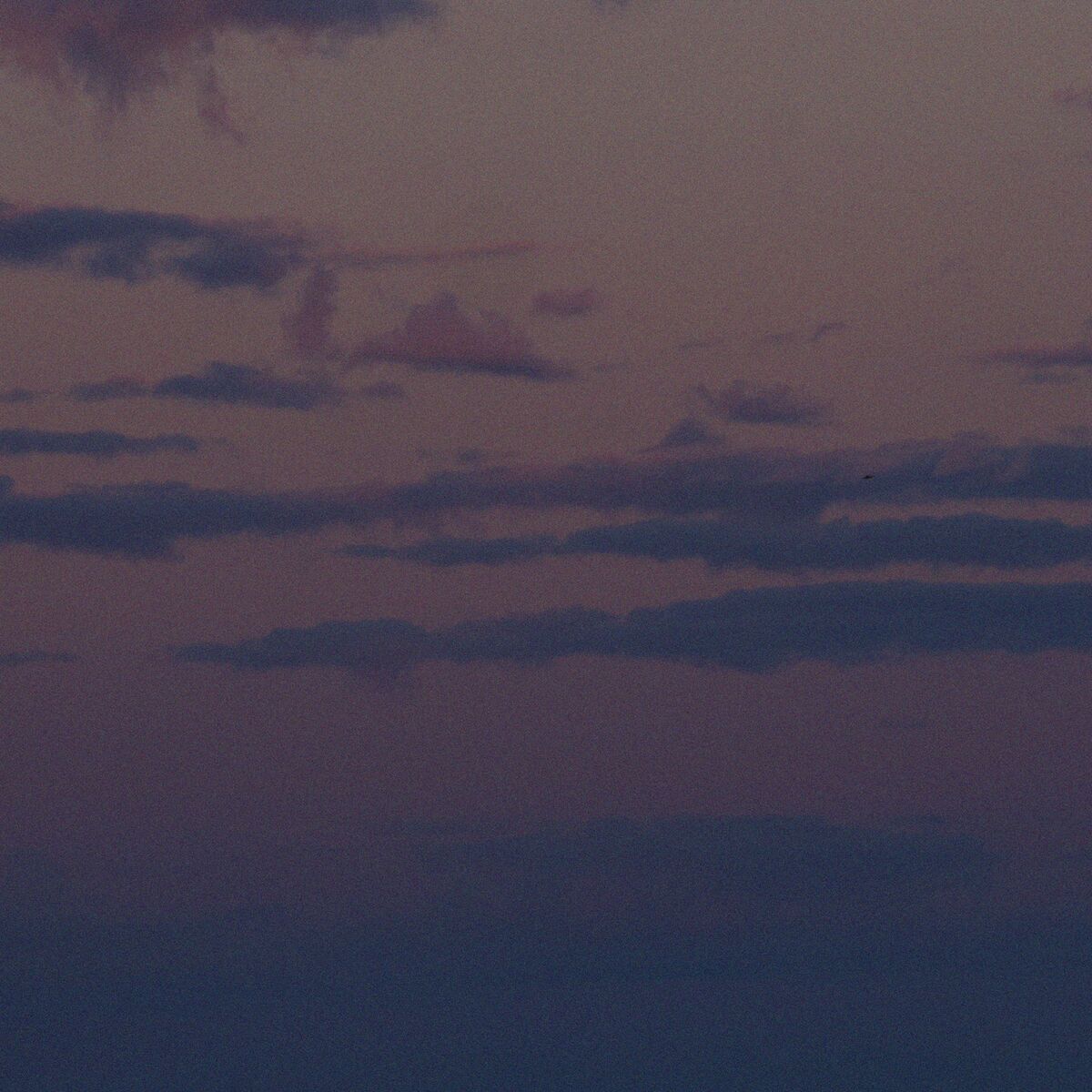 Album cover of stars fell where we walked