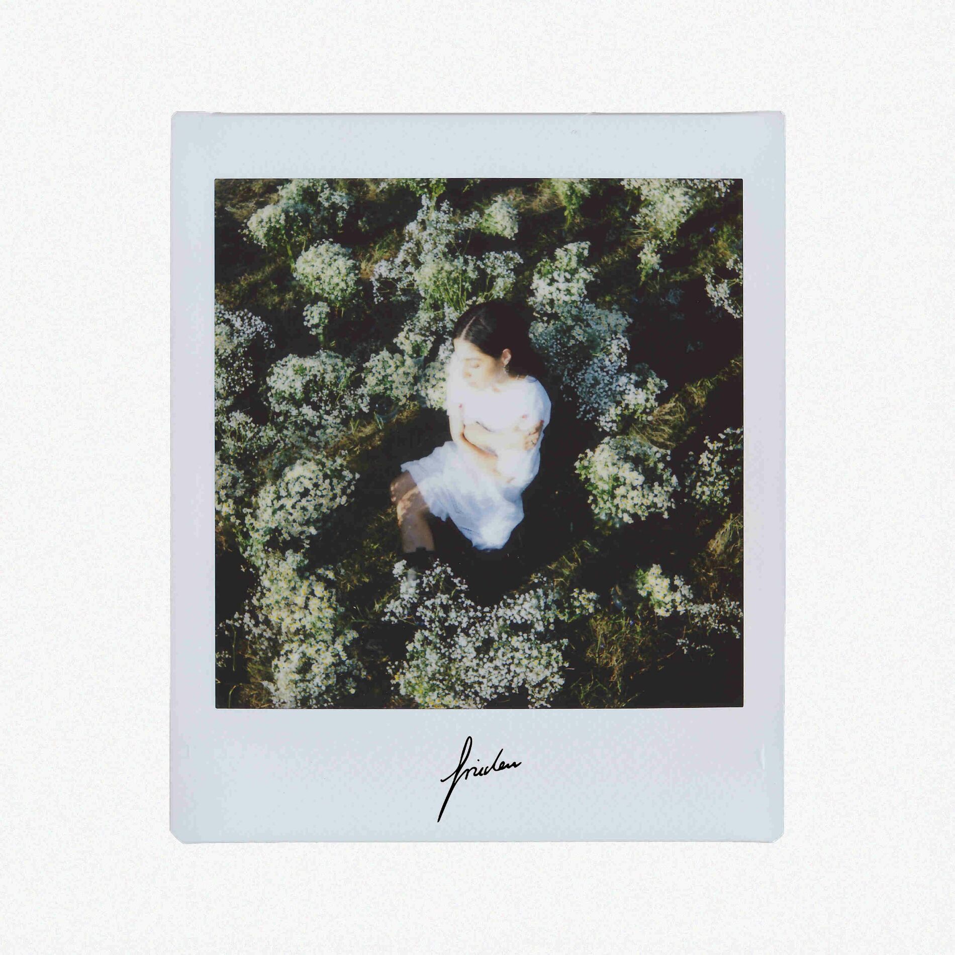 Album cover of frieden