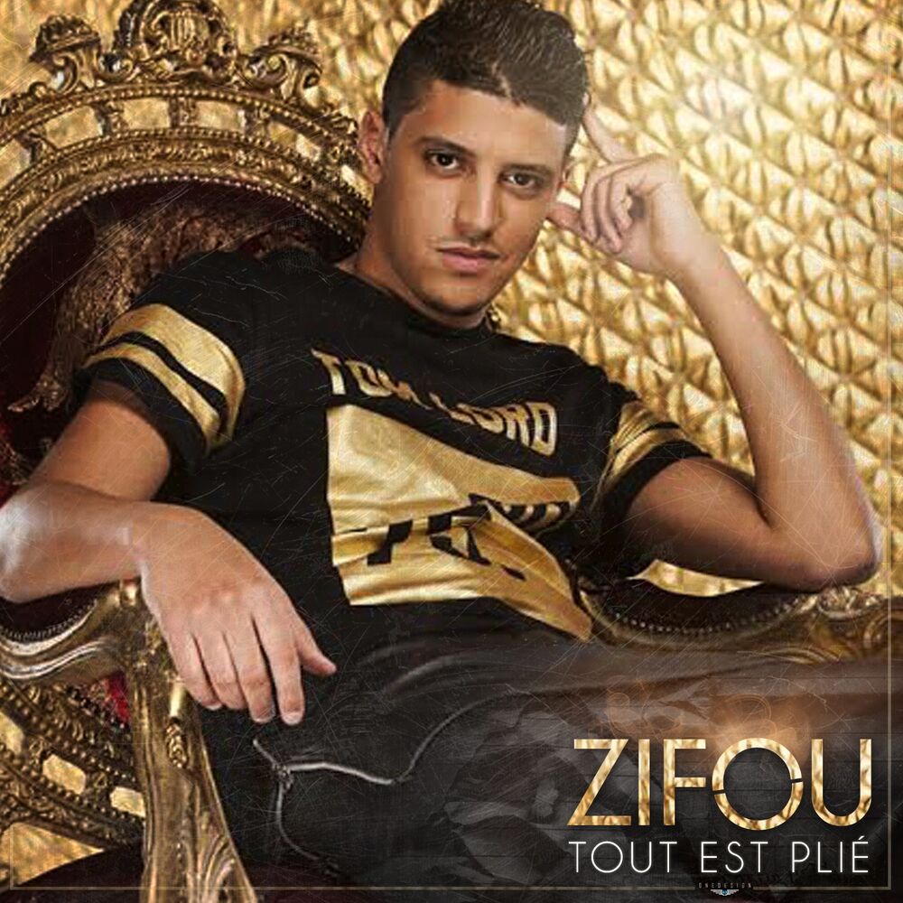Picture of Tout est plié