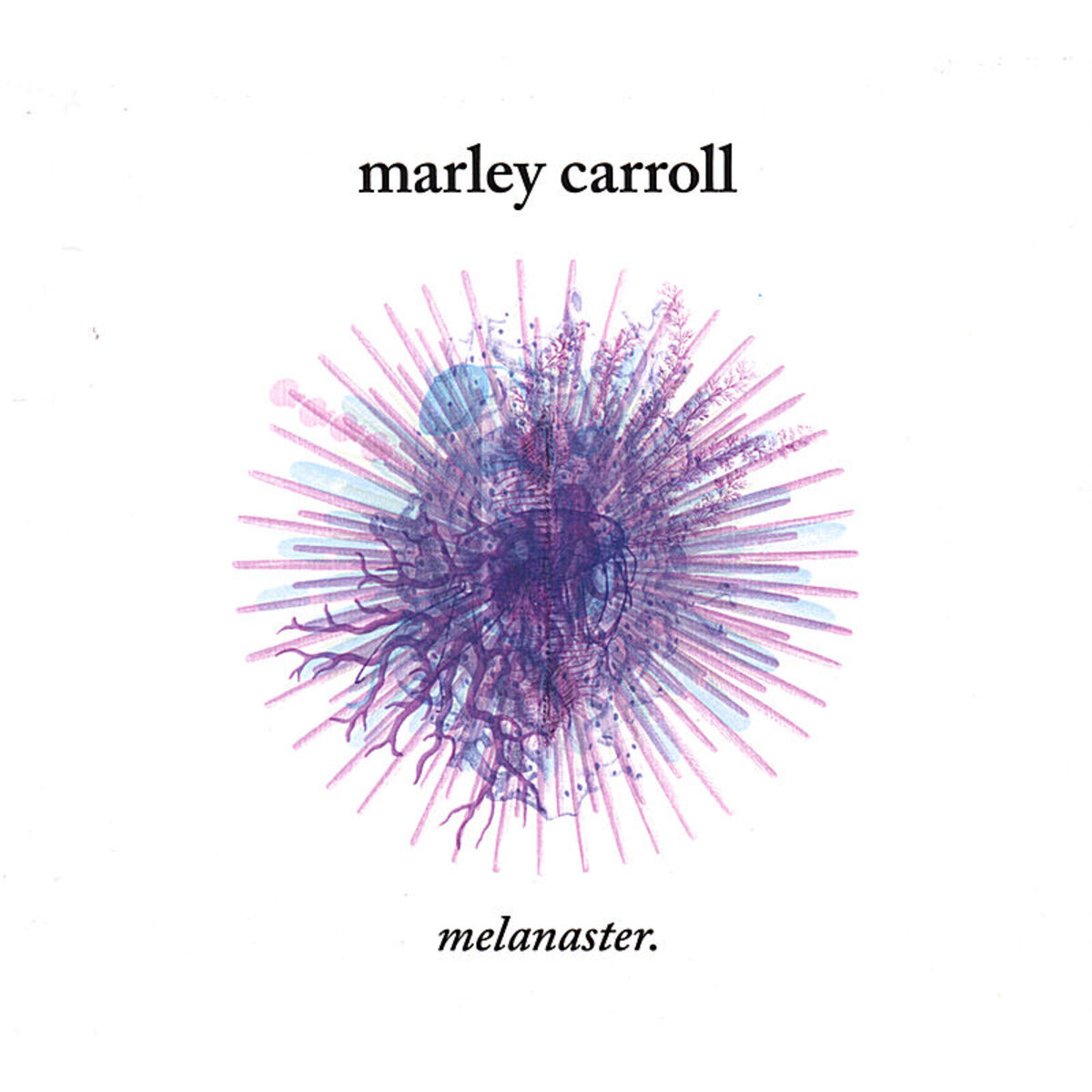 Album cover of Melanaster