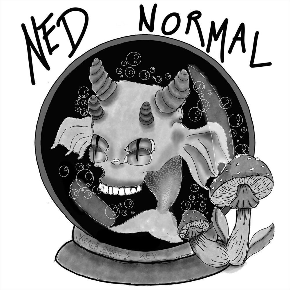 Picture of Ned Normal