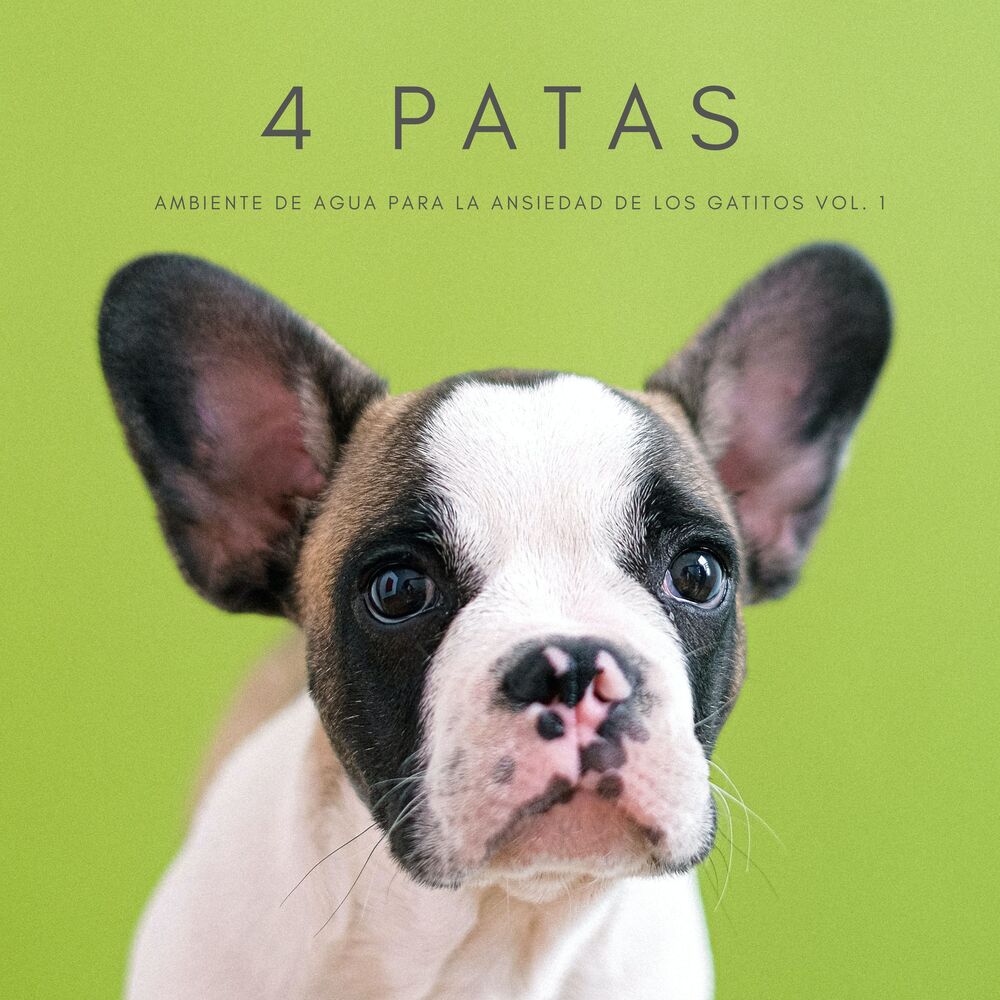 Picture of 4 Patas: Ambiente De Agua Para La Ansiedad De Los Gatitos Vol. 1