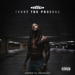 Cover of Trust the Process