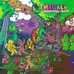 Cover of Terrestrial Tango