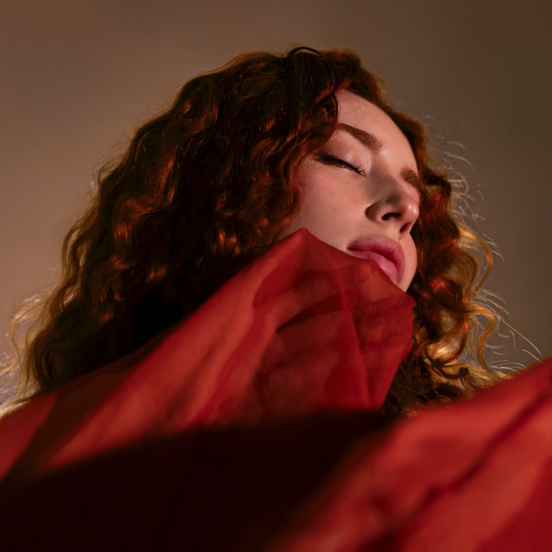 Album cover of Vermilion