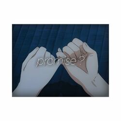 Cover of promise ?
