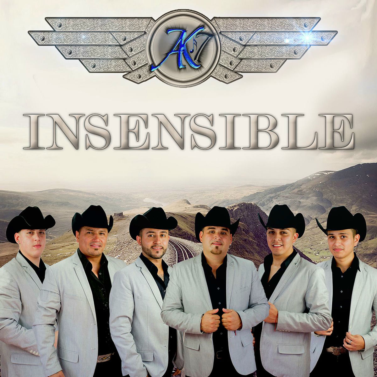 Album cover of Insensible