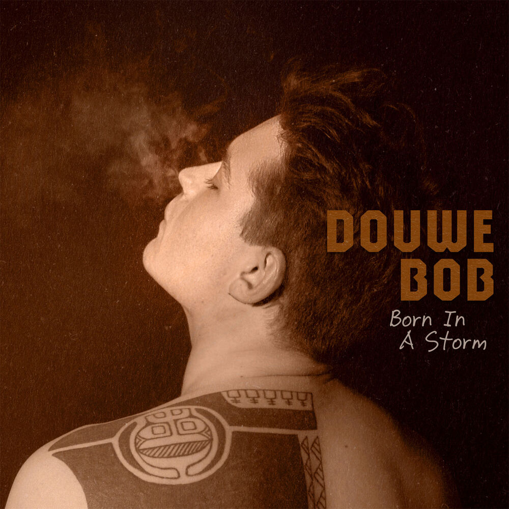 Picture of Born In A Storm