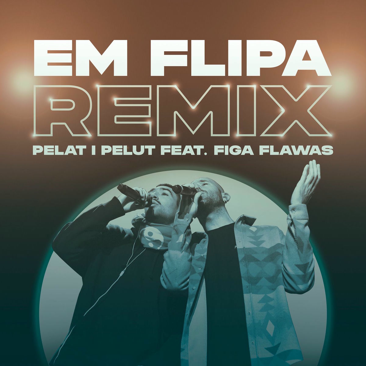 Album cover of Em Flipa (VTS Remix)