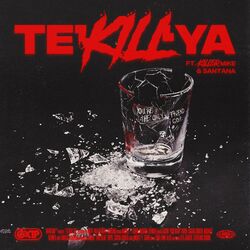 Cover of Te'Kill'Ya