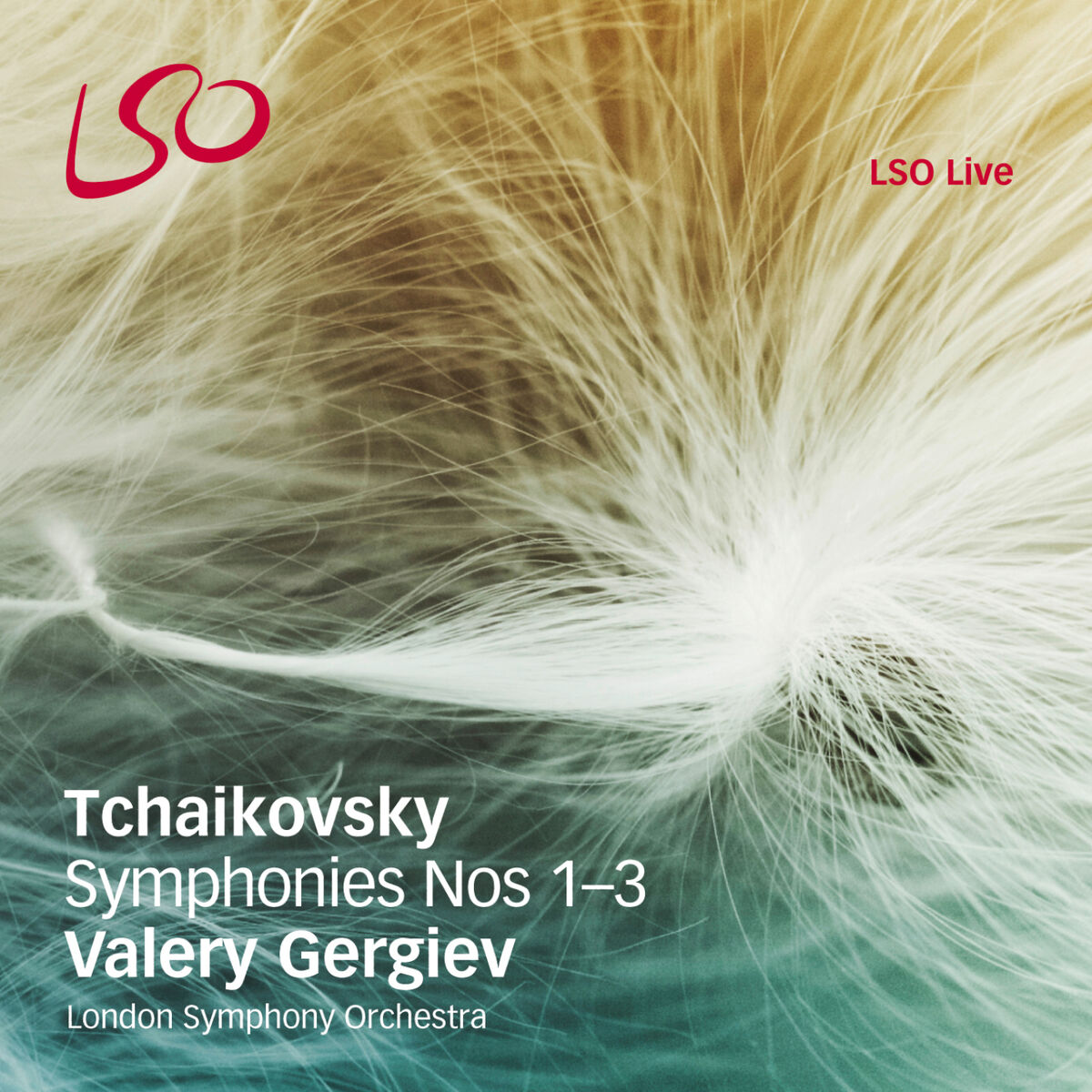 Album cover of Symphony No. 1 