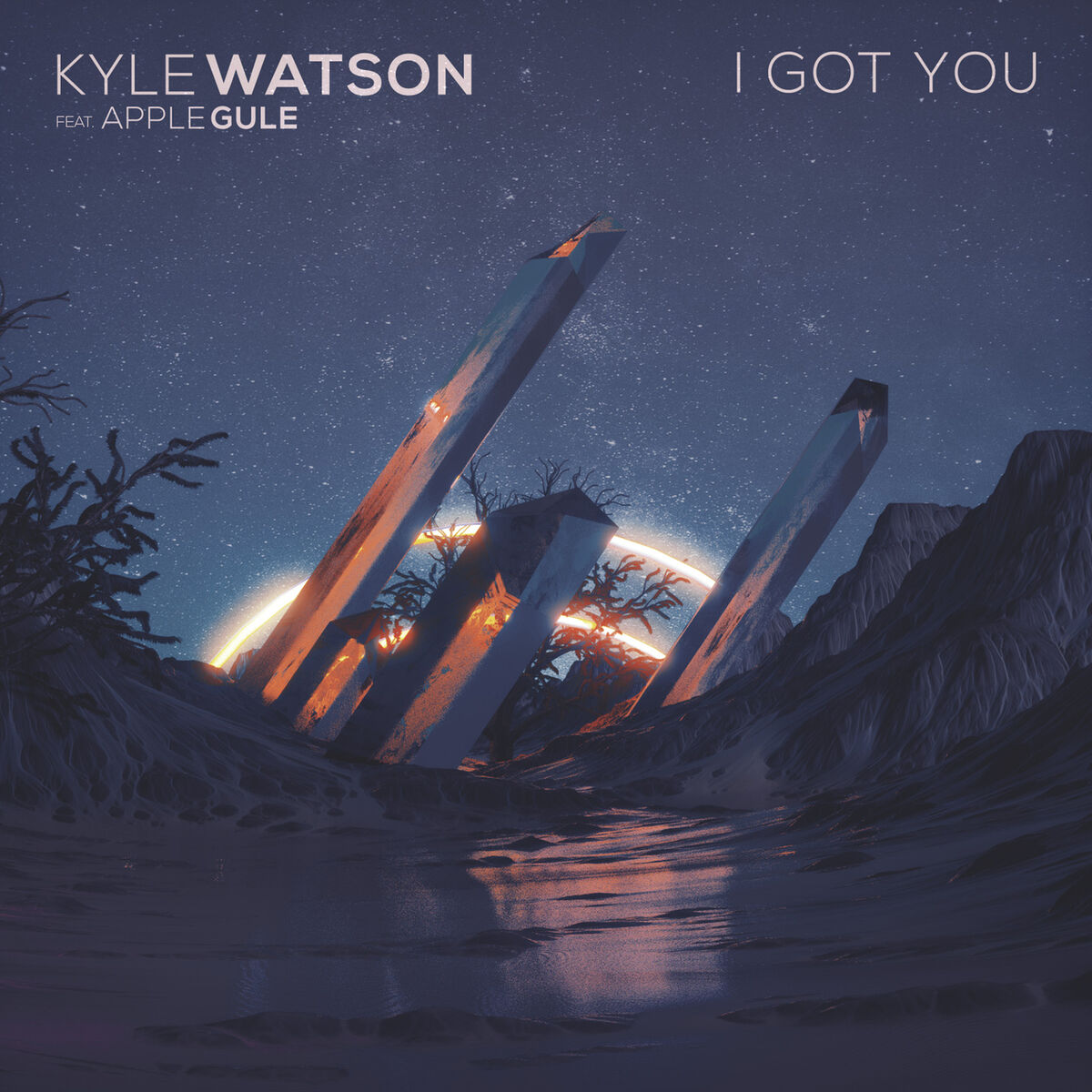Album cover of I Got You