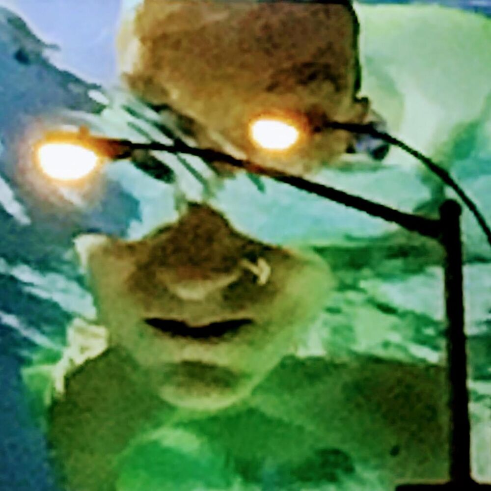 Picture of Go Where Light Is