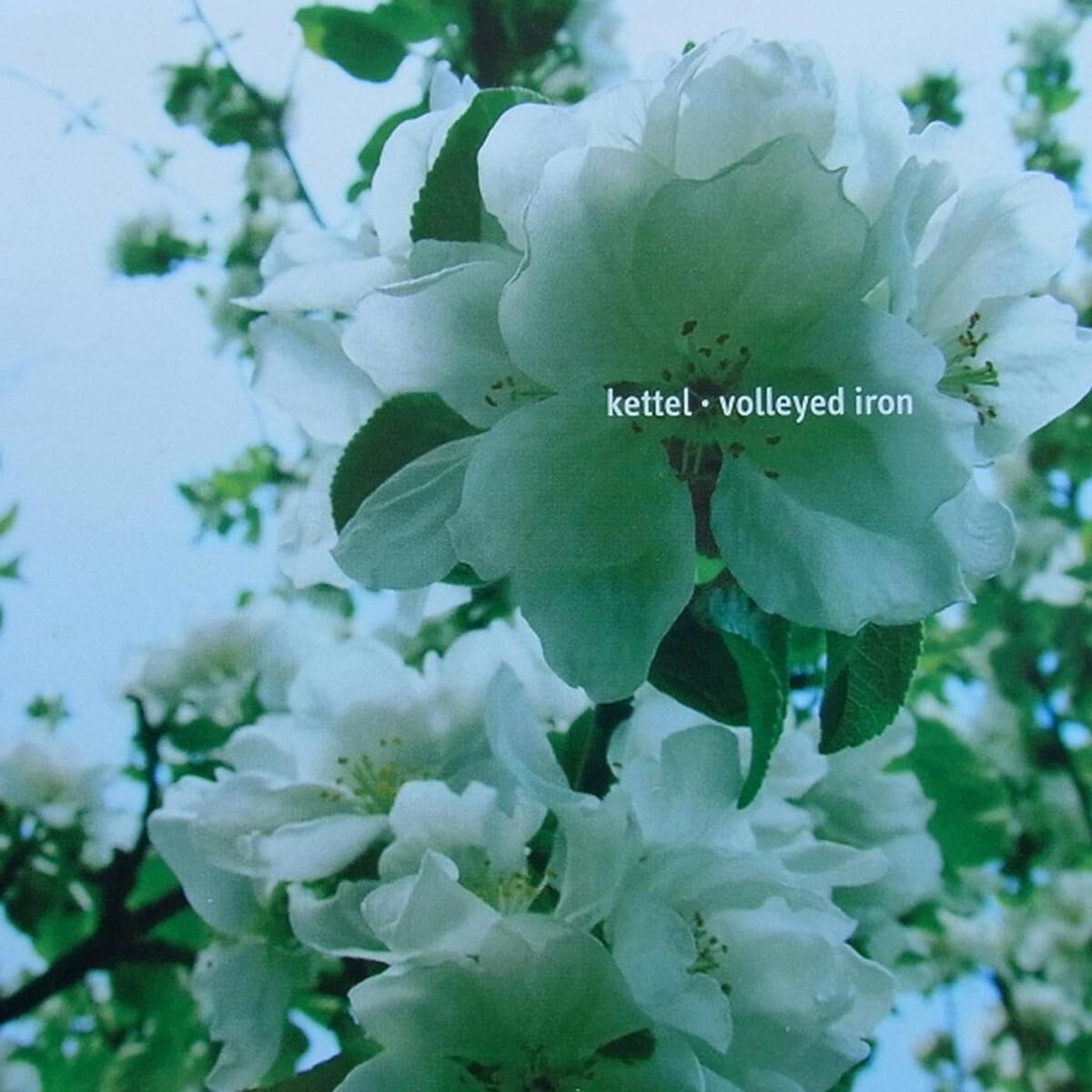 Album cover of Volleyed Iron
