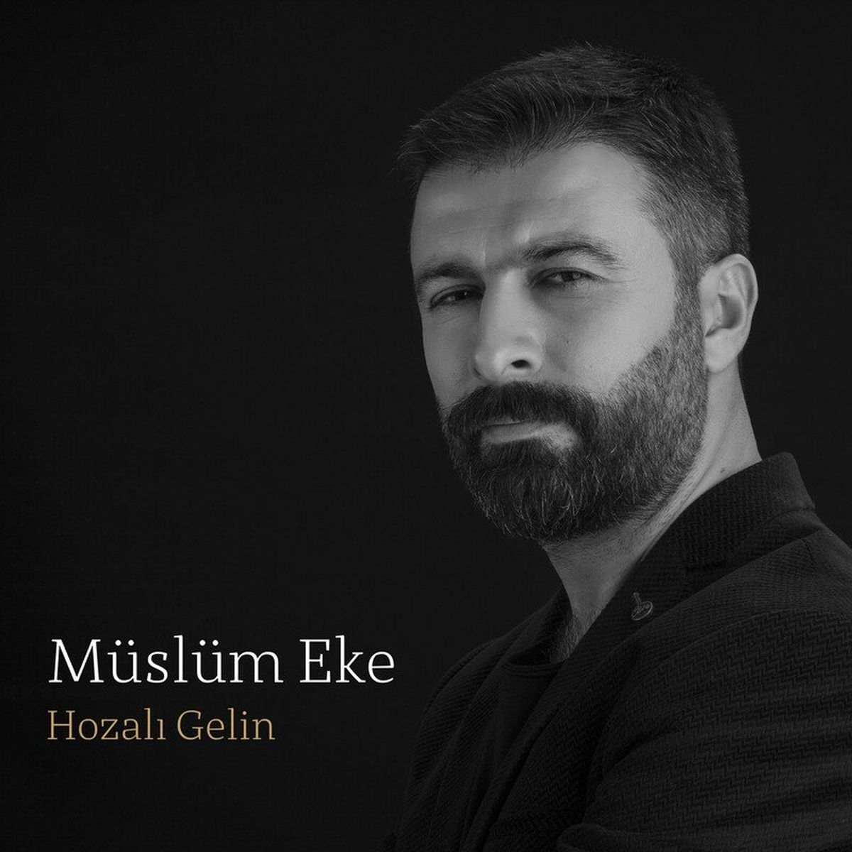 Album cover of Hozalı Gelin