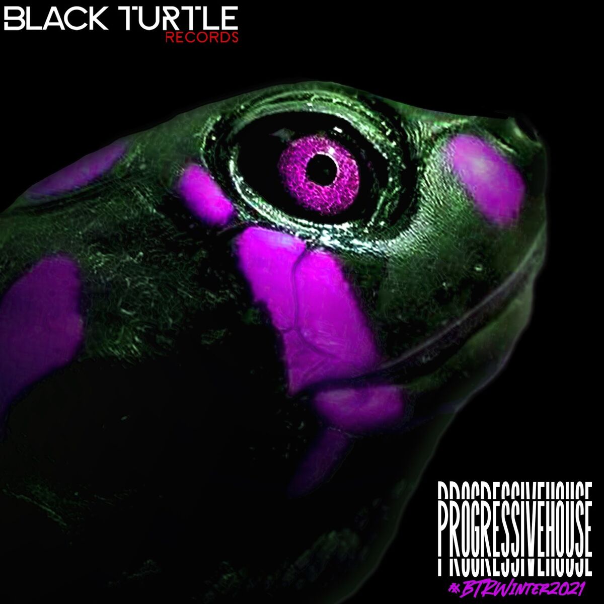 Album cover of Progressive House Winter2021
