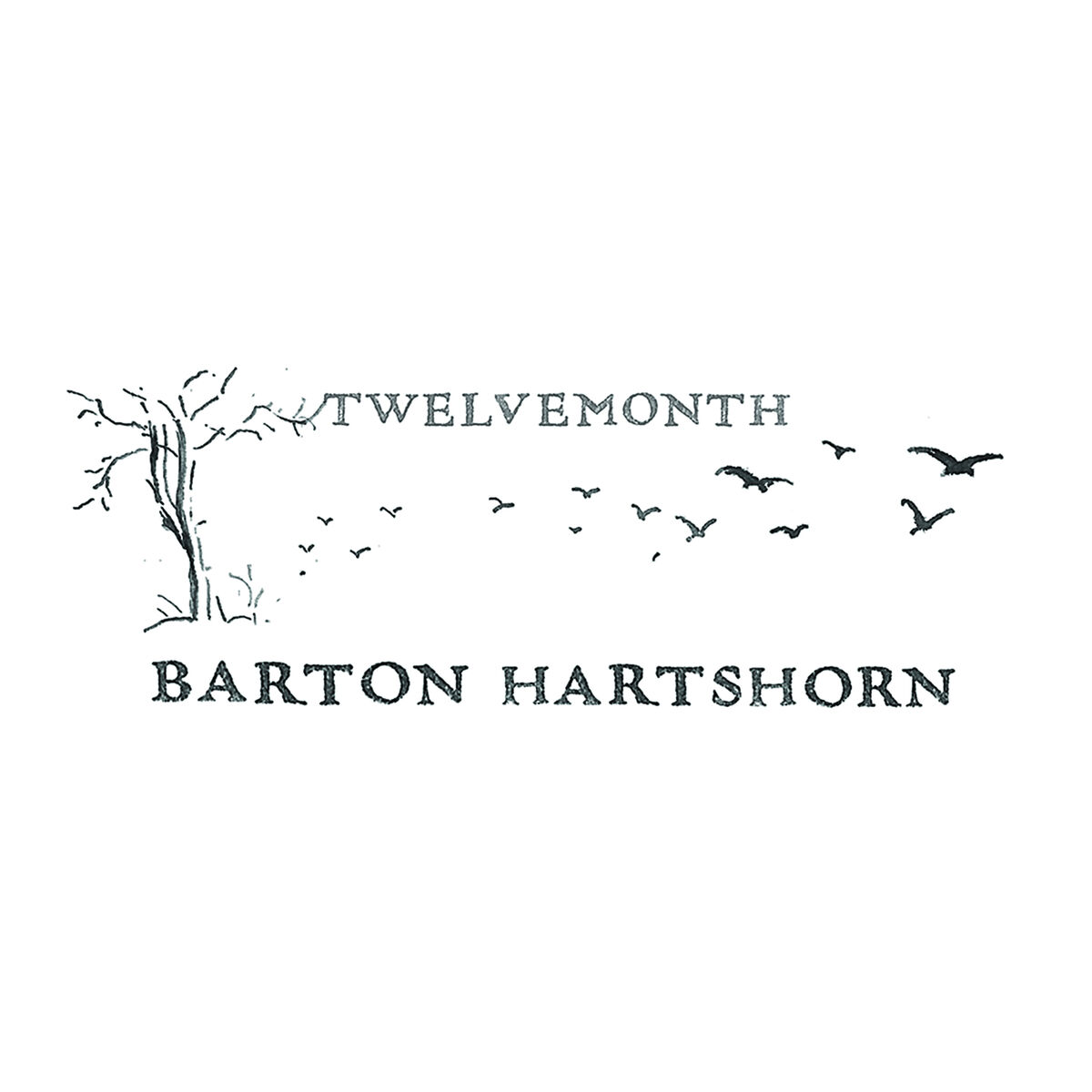 Album cover of Twelvemonth