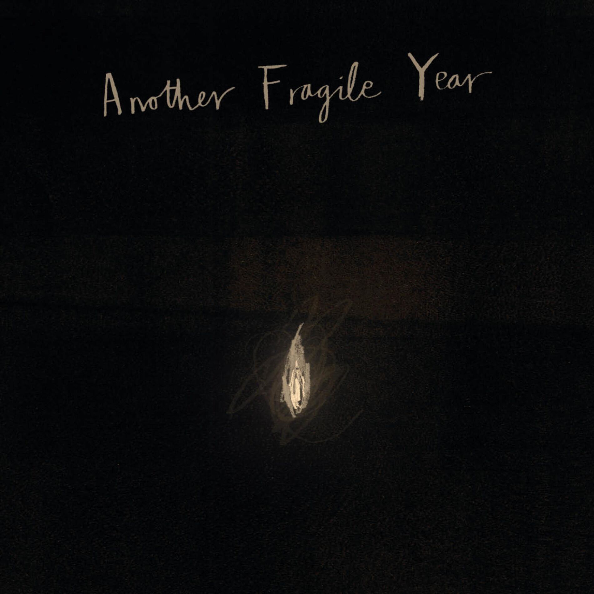 Album cover of Another Fragile Year