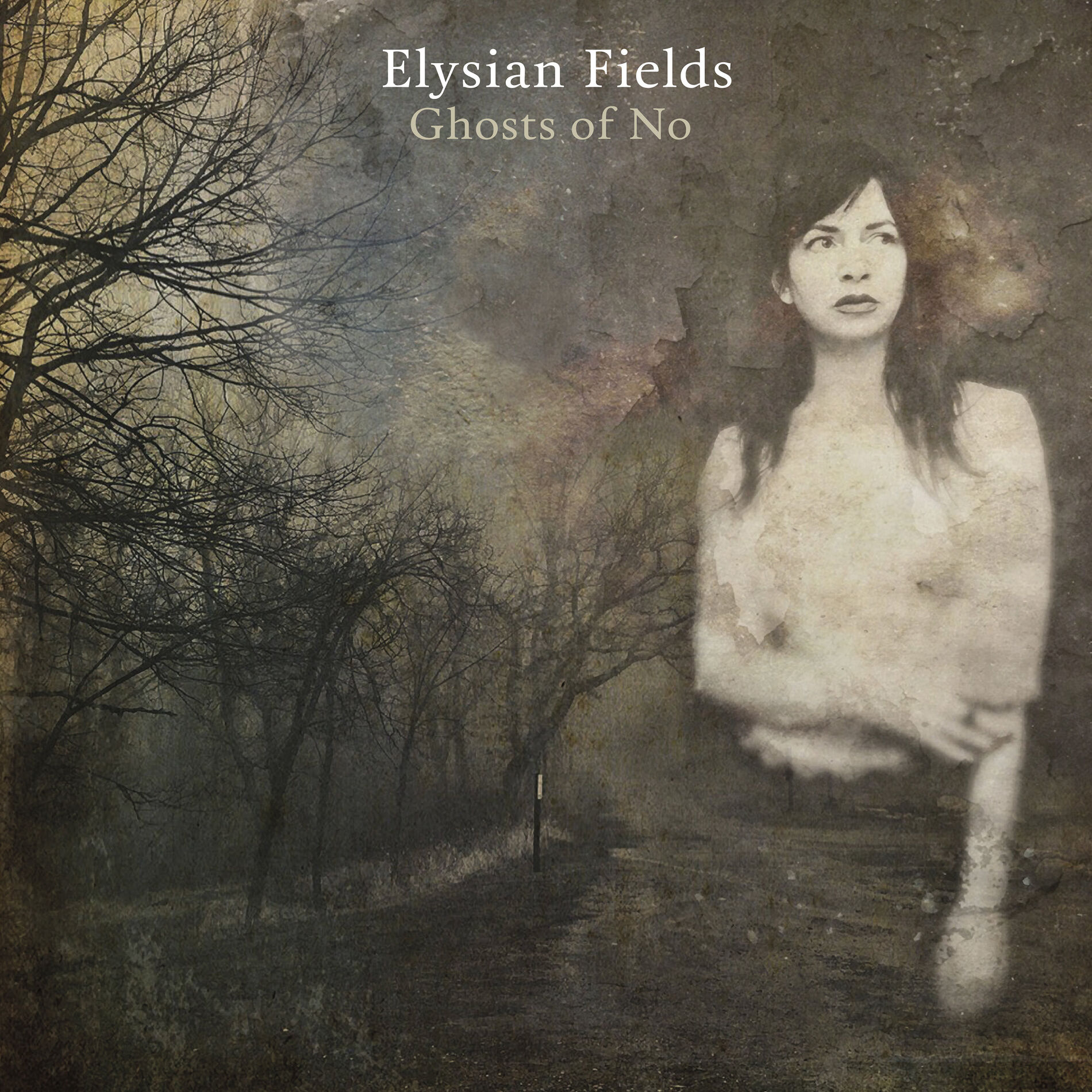 Album cover of Ghosts of No