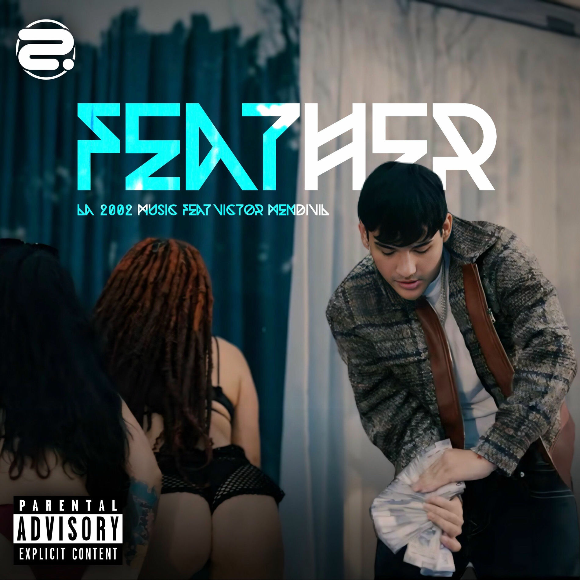 Album cover of Feather
