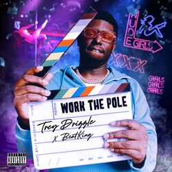 Cover of Work The Pole