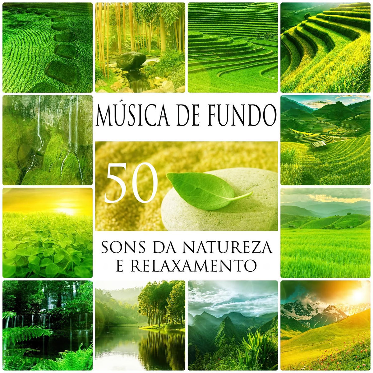 Album picture of 50 Música de Fundo: Sons da Natureza e Relaxamento, Música Ambiente para Dormir, Meditação, Yoga Pré-Natal, Pilates e Tai Chi, Som