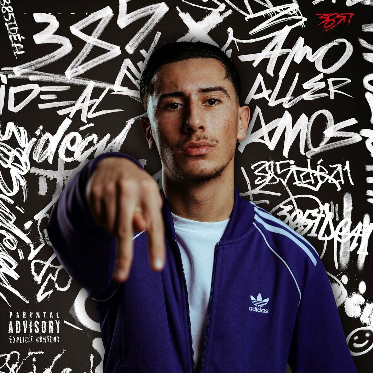 Album cover of Amo aller Amos